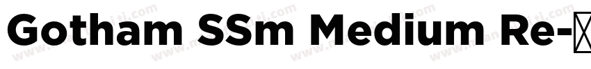 Gotham SSm Medium Re字体转换